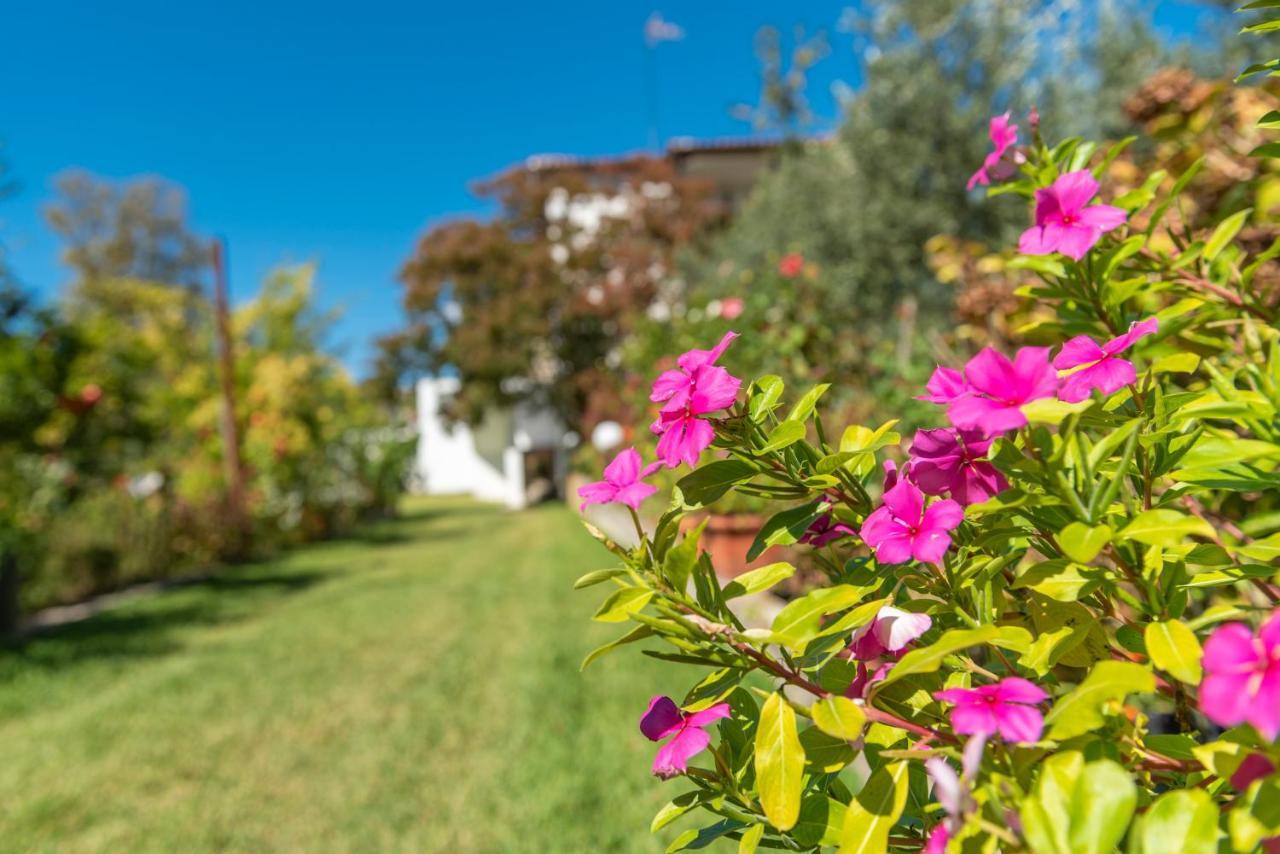 Apartmán Blooming Memories Vourvourou Exteriér fotografie